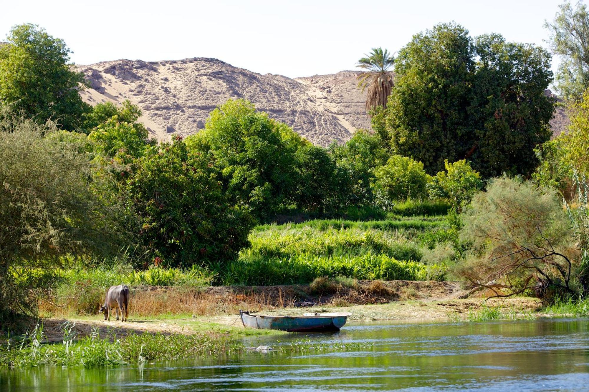Hadouta Masreya Nubian Guest House Aswan Buitenkant foto